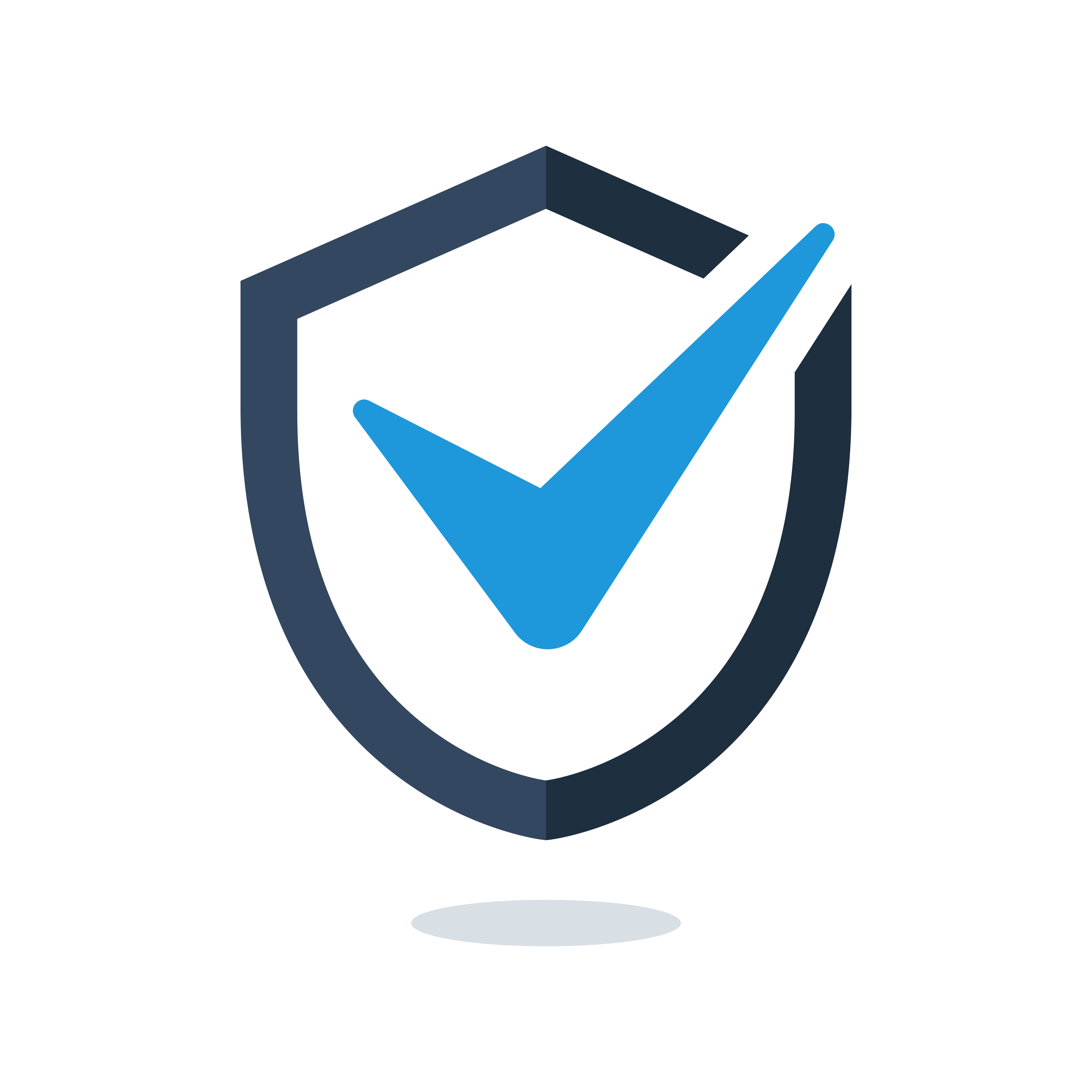 Safety Icon